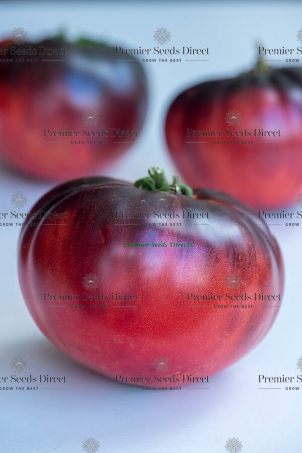 Tomato Indigo Blue Beauty - Image 6