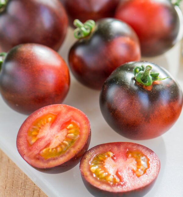 Tomato Indigo Rose