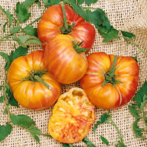 Tomato - Old German Organic