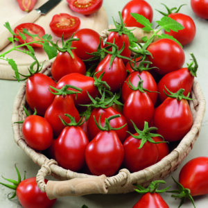 Tomato Red Pear / Cherry Bell