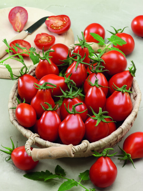 Tomato Red Pear / Cherry Bell