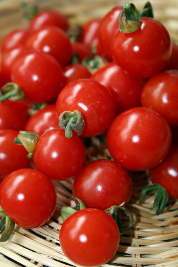 Tomato Cherry Sweet Aperitif - Image 2