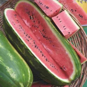 Watermelon Jubilee