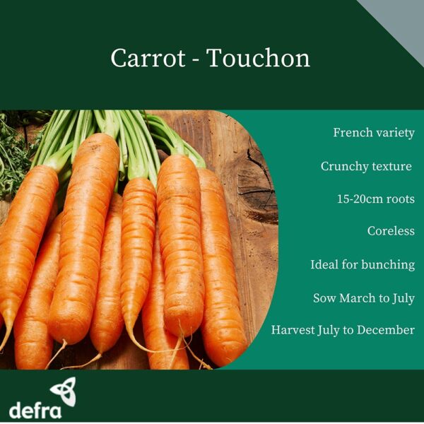 Carrot Touchon - Image 2