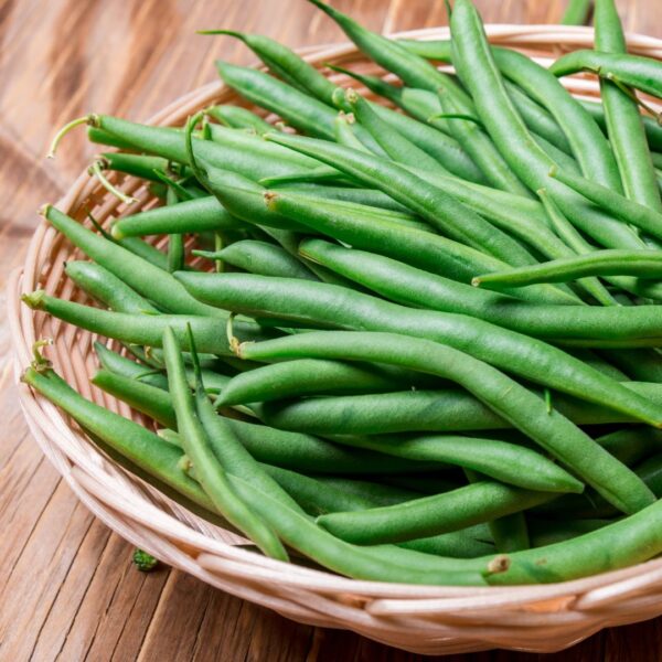 Dwarf Kenyan Bean Ferrari - Image 2