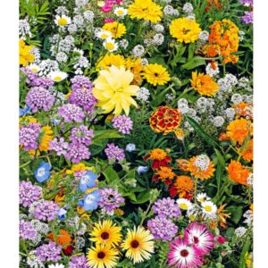Flower Butterfly & Bee Mix