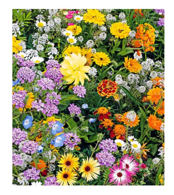 Flower Butterfly & Bee Mix