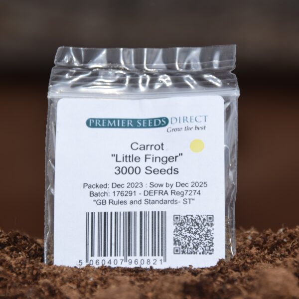 Miniature Carrot Little Finger - Image 3