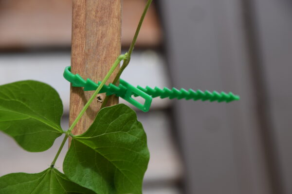 Re-Useable Adjustable Plastic Plant Ties 7 Inch - Image 2