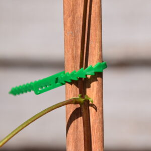Re-Useable Adjustable Plastic Plant Ties 7 Inch