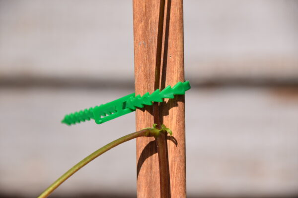Re-Useable Adjustable Plastic Plant Ties 7 Inch