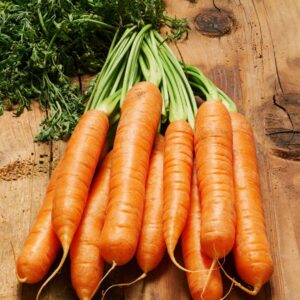 Carrot Touchon