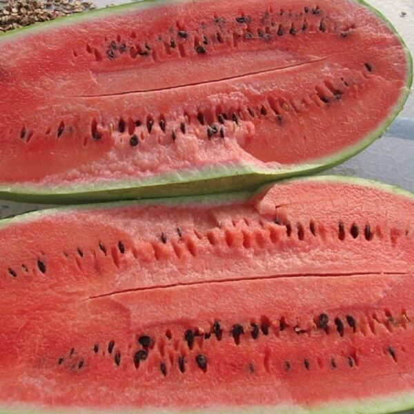 Watermelon Charlston Gray - Image 2