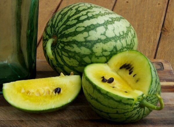 Watermelon Petite - Yellow - Image 2