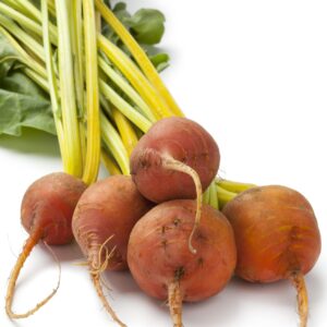 Beetroot Golden Boldor F1