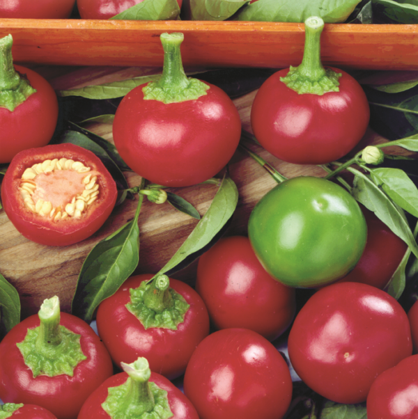 SWEET PEPPER RED CHERRY - Image 2