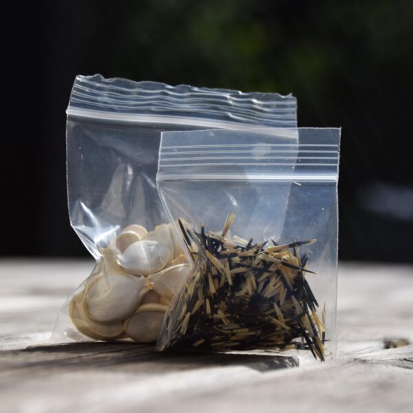 Ziplock Bags