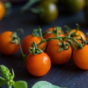 Tomato Figiel