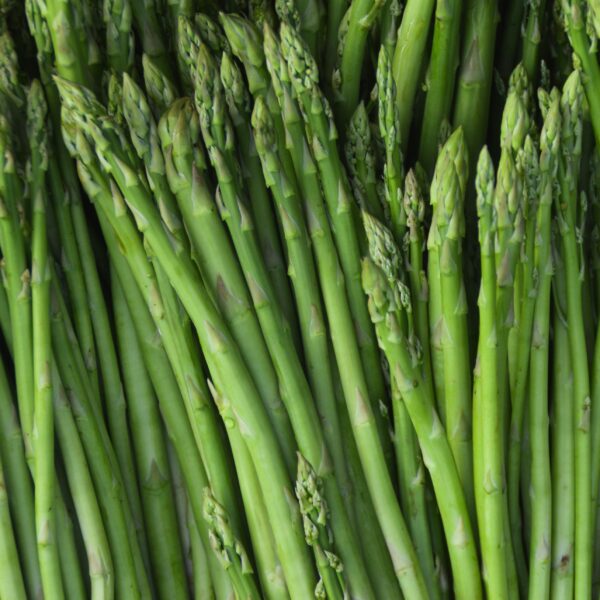Asparagus Mary Washington - Image 2