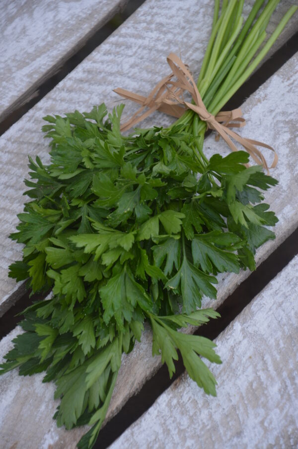 Organic Parsley Plain Leaved (French)