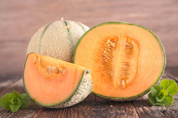 Melon Malaga F1   - Image 2
