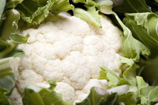Cauliflower Igloo Early Variety - Image 2