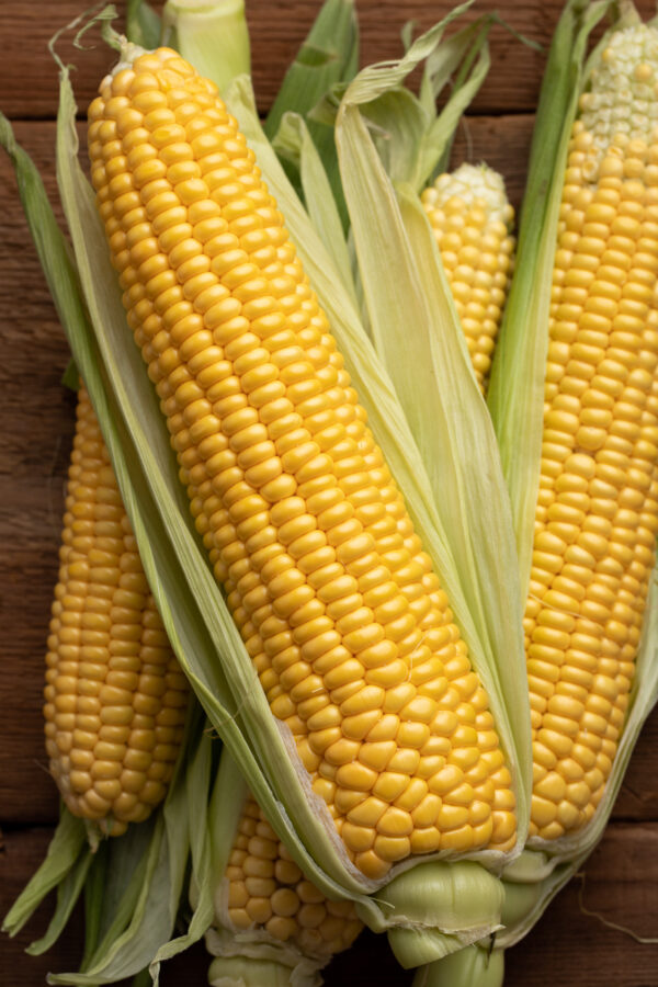 SweetCorn - Incredible F1 (Sweet corn)