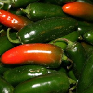Hot Chilli Pepper Jalapeno M