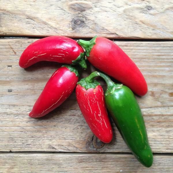 Hot Chilli Pepper Jalapeno M - Image 3