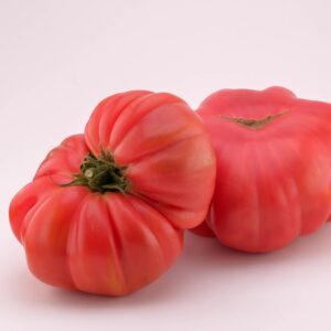Tomato - Brandywine Pink