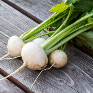 Organic Turnip Snowball