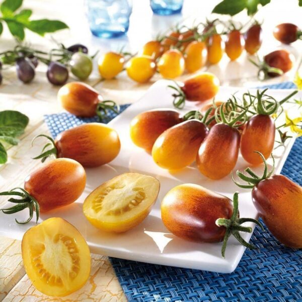 Tomato Cherry - Indigo Pear Drops - Image 2