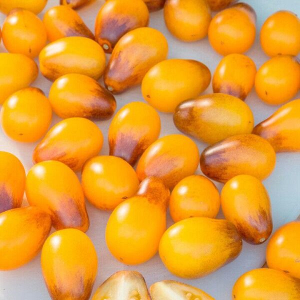 Tomato Cherry - Indigo Pear Drops - Image 4