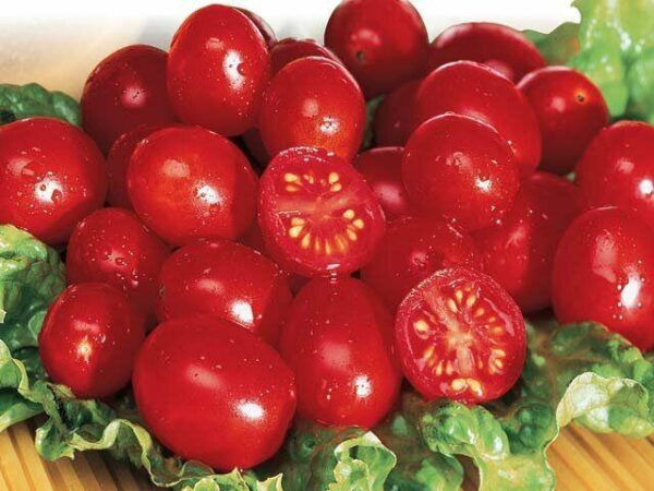 Tomato - Christmas Grape - Image 2