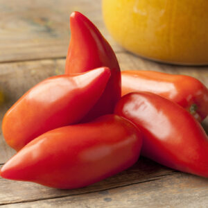 Tomato - Piramide