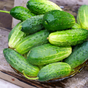 Cucumber Gherkin - Anulka F1