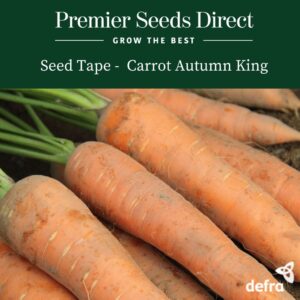 Carrot - Autumn King Seed Tape 6M (3X2M) ~ Approx 600 Seeds
