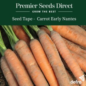 Carrot - Nantes Seed Tape 6M (3X2M) ~ Approx 600 Seeds
