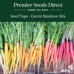 Carrot - Rainbow Mix Seed Tape 6M (3X2M) ~ Approx 600 Seeds