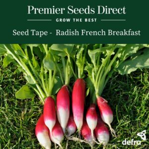 Radish - French Breakfast Seed Tape 6M (3X2M) ~ Approx 300 Seeds