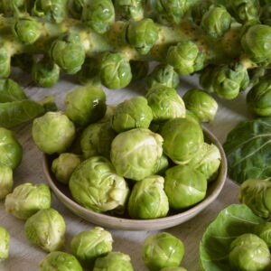 Brussel Sprouts Groninger