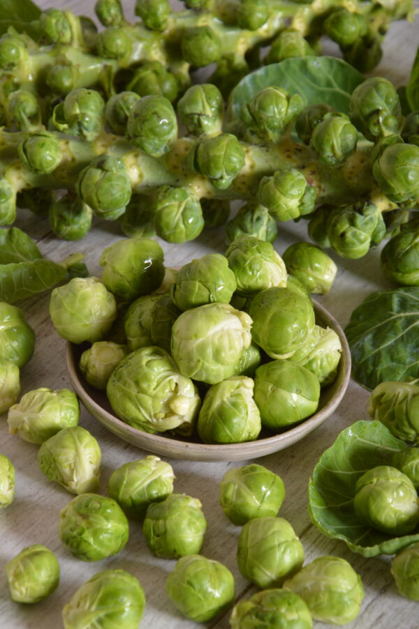 Brussel Sprouts Groninger