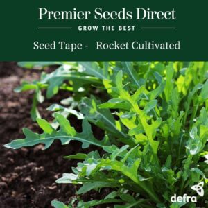 Rocket Cultivated Seed Tape 6M (3X2M) ~ Approx 600 Seeds