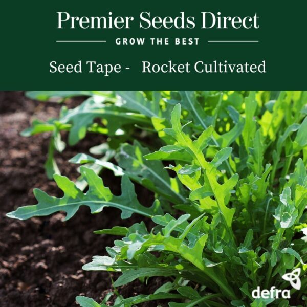 Rocket Cultivated Seed Tape 6M (3X2M) ~ Approx 600 Seeds
