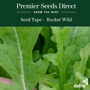 Rocket - Wild Seed Tape 6M (3X2M) ~ Approx 600 Seeds