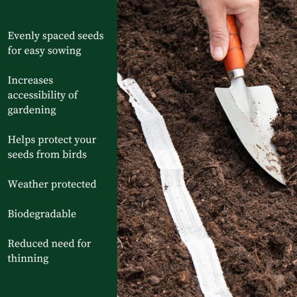 Rocket Cultivated Seed Tape 6M (3X2M) ~ Approx 600 Seeds - Image 4