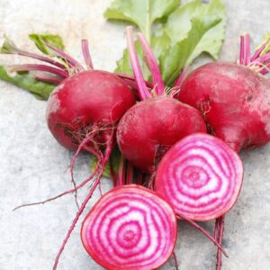 Beetroot Chioggia