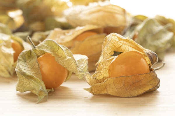 Cape Gooseberry (Physalis Peruviana) - Image 2