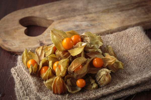 Cape Gooseberry (Physalis Peruviana) - Image 3