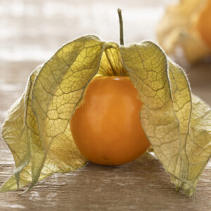 Cape Gooseberry (Physalis Peruviana)